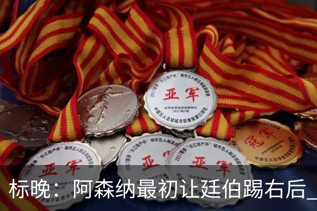 标晚：阿森纳最初让廷伯踢右后 伤愈后力压津琴科